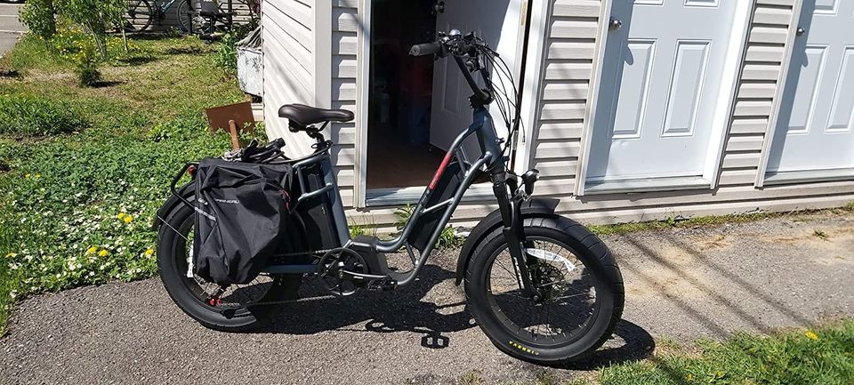 750W Electric Bike for Adults, 20'' Ebike 48V 20.8AHDual Removable Lithium Batt.